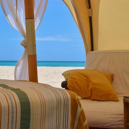 Wild Lotus Glamping Hotel Bolands Exterior foto