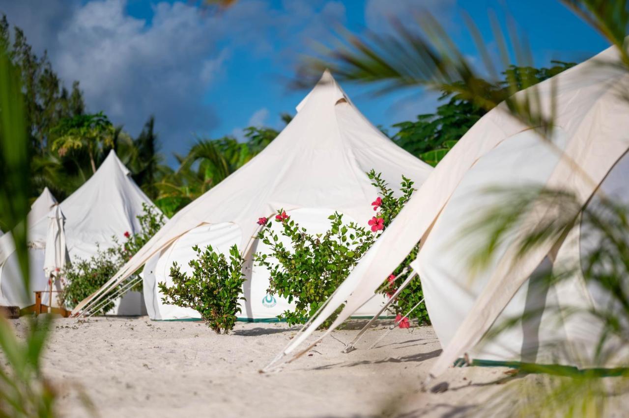 Wild Lotus Glamping Hotel Bolands Exterior foto