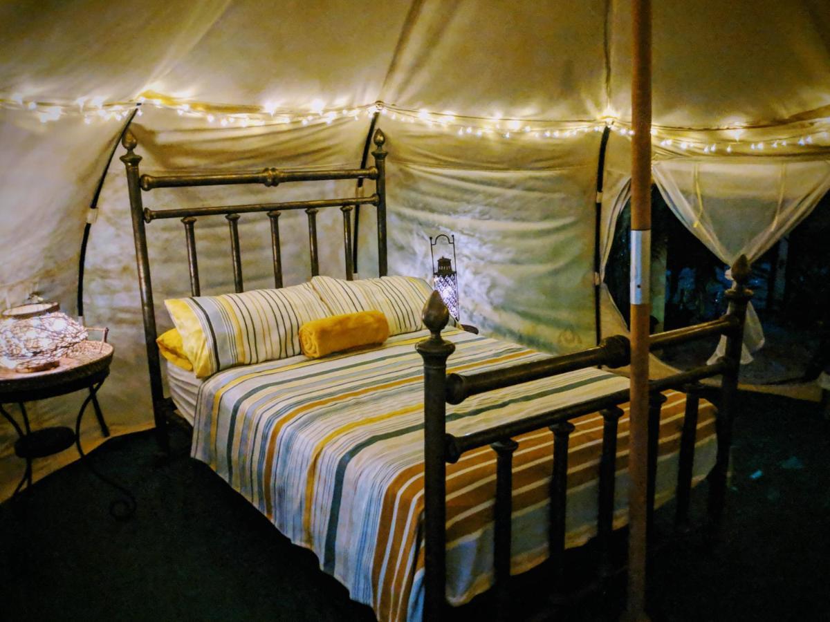 Wild Lotus Glamping Hotel Bolands Exterior foto