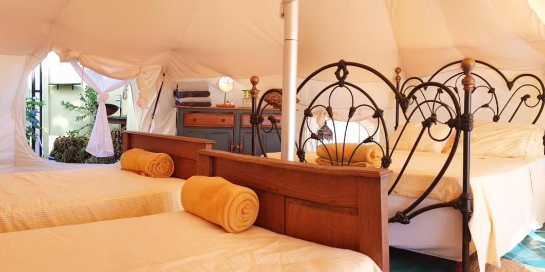 Wild Lotus Glamping Hotel Bolands Exterior foto